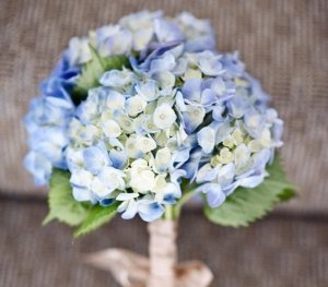 cbfc86b138a760052d08b514d40b850a