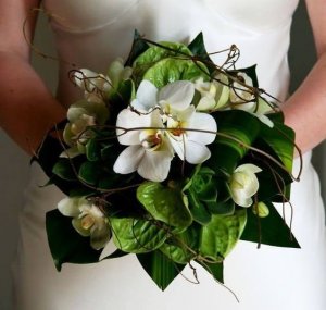 d2b07dc75910603ef587887ff6a2e6fa