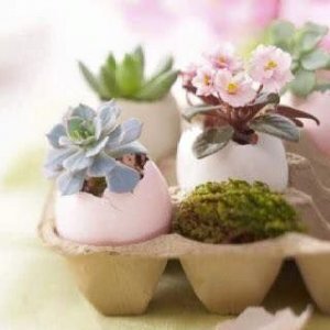 155a6952c2478f41cf94526a85724e1b