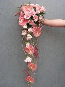 84fbc270fb5f27cecc6e64af4f4578c3