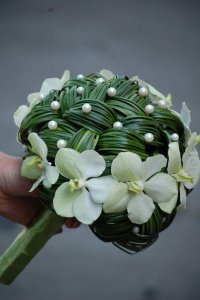 cee728079afb9adbbc301b301e95ac9a