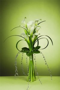 cf960fd90f8b444b31a71babac10fec2