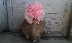 13020608_1059810374079700_1728376730_n