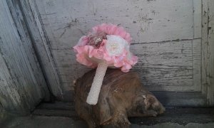 13081872_1059810400746364_1320257041_n