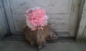 13089988_1059810357413035_2058835403_n