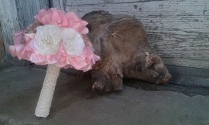 13090358_1059810304079707_1964725039_n