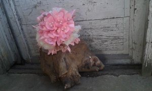 13090366_1059810334079704_98466501_n