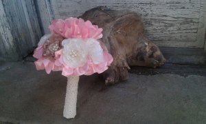 13101510_1059810280746376_1959327183_n