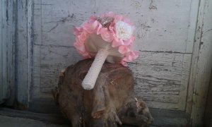 13115776_1059810430746361_1292473286_n