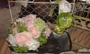 548a5683fae814ddd53eb6996045b868