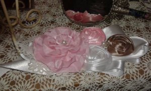 14568050_553532644817182_1656364460667586438_n