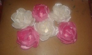 14569174_1170231129704290_2019216308_n